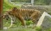 380082_spisska-nova-ves-zoo