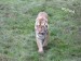SAM_2717